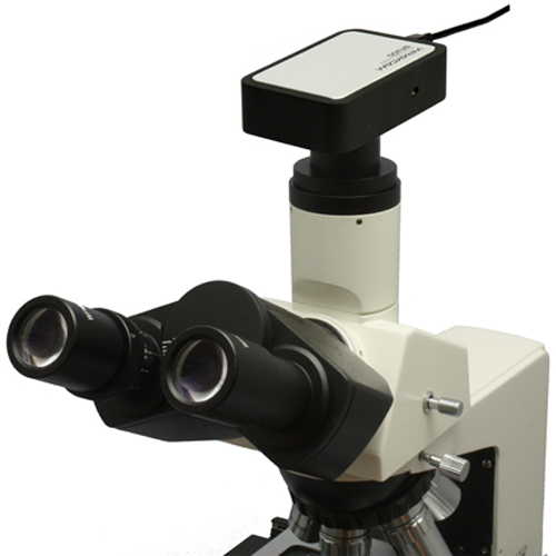 顕微鏡への取付