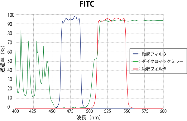 FITC スペクトログラム