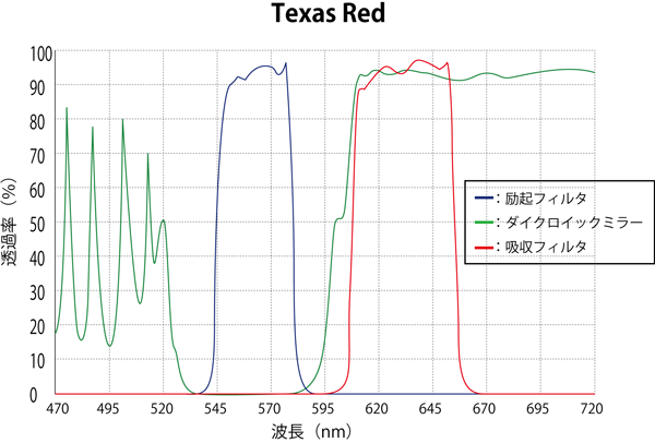 Texas Red スペクトログラム