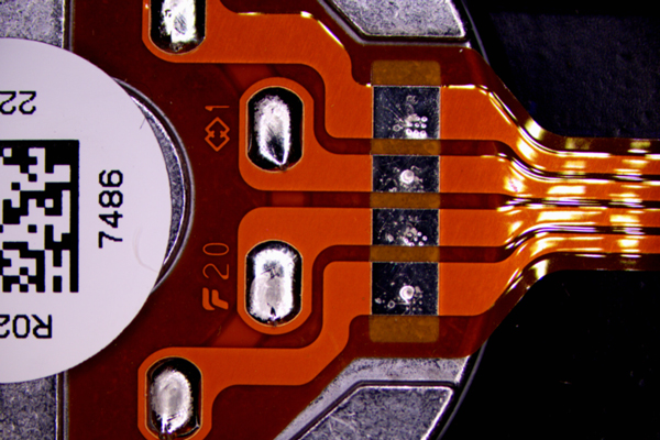 LEDリングライトでの観察