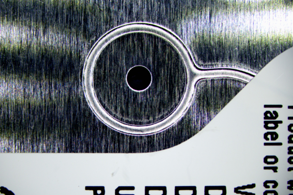 LEDリングライトでの観察