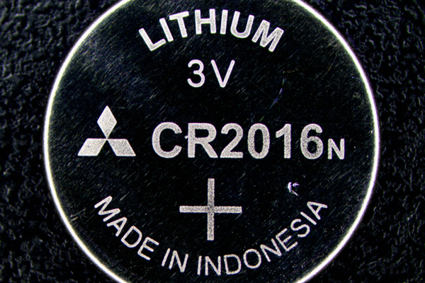 LEDリングライトでの観察