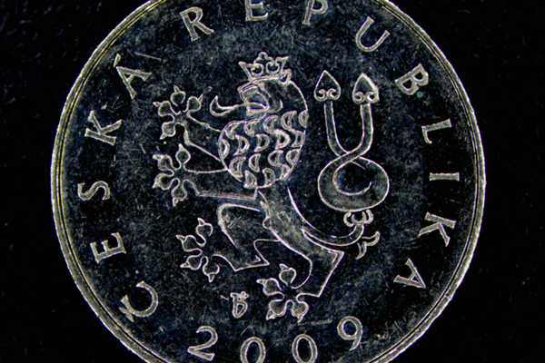 LEDリングライトでの観察