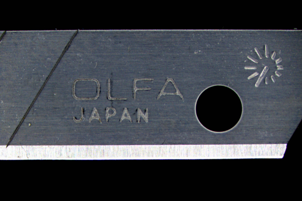 LEDリングライトでの観察