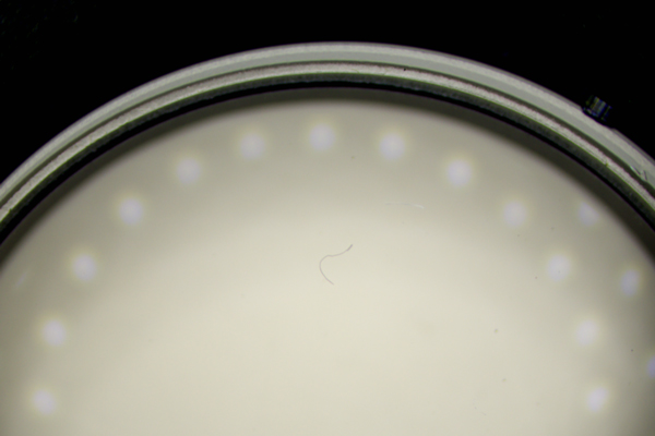 LEDリングライトでの観察