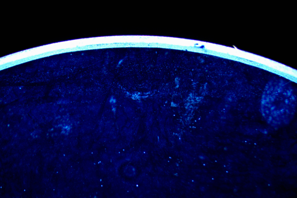 LEDリングライトでの観察