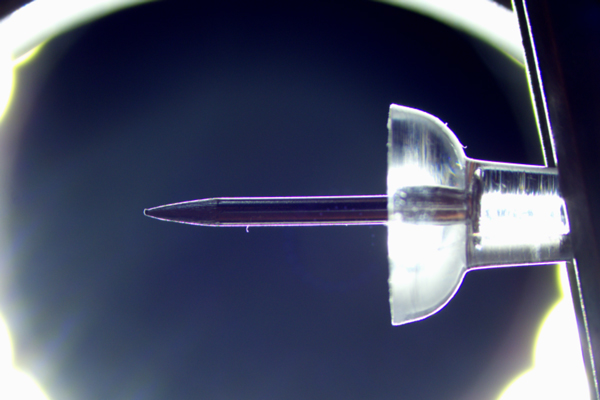 LEDリングライトでの観察