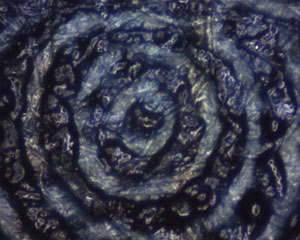 ズーム倍率5倍時の撮影範囲