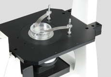 プレーンステージ＋クレンメル