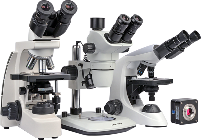 レイマー顕微鏡