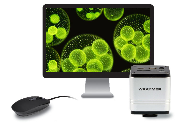 顕微鏡用HDMI・EthernetデジタルカメラFLOYD-2A