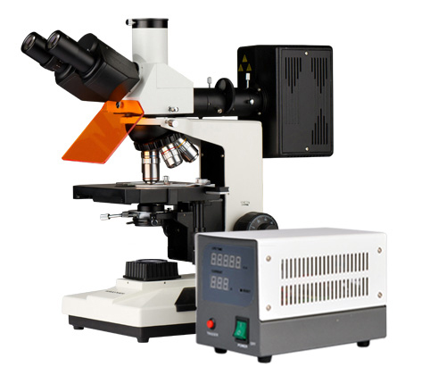 BX-3500TFL蛍光顕微鏡