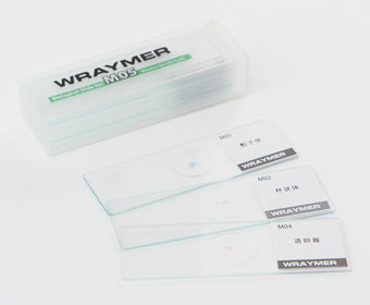 顕微鏡標本生物プレパラートM05 コケの生活環セット