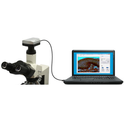 WRAYCAM-G/Fシリーズ 顕微鏡用USBデジタルカメラ その他商品画像 4