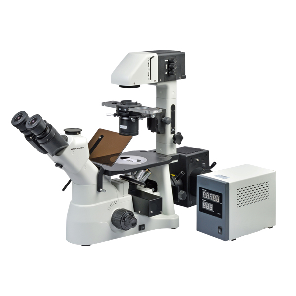 倒立型蛍光顕微鏡SXJ-5803TPHFL